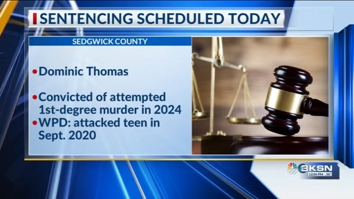 Years later, man sentenced for trying to drown teen in Wichita