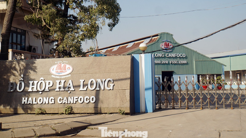 Thủ đoạn 'phù phép' thịt lợn nhiễm dịch bệnh tuồn vào kho công ty đồ hộp ở Hải Phòng