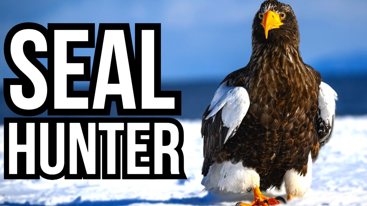 How some birds evolved to hunt prey their size should not allow
