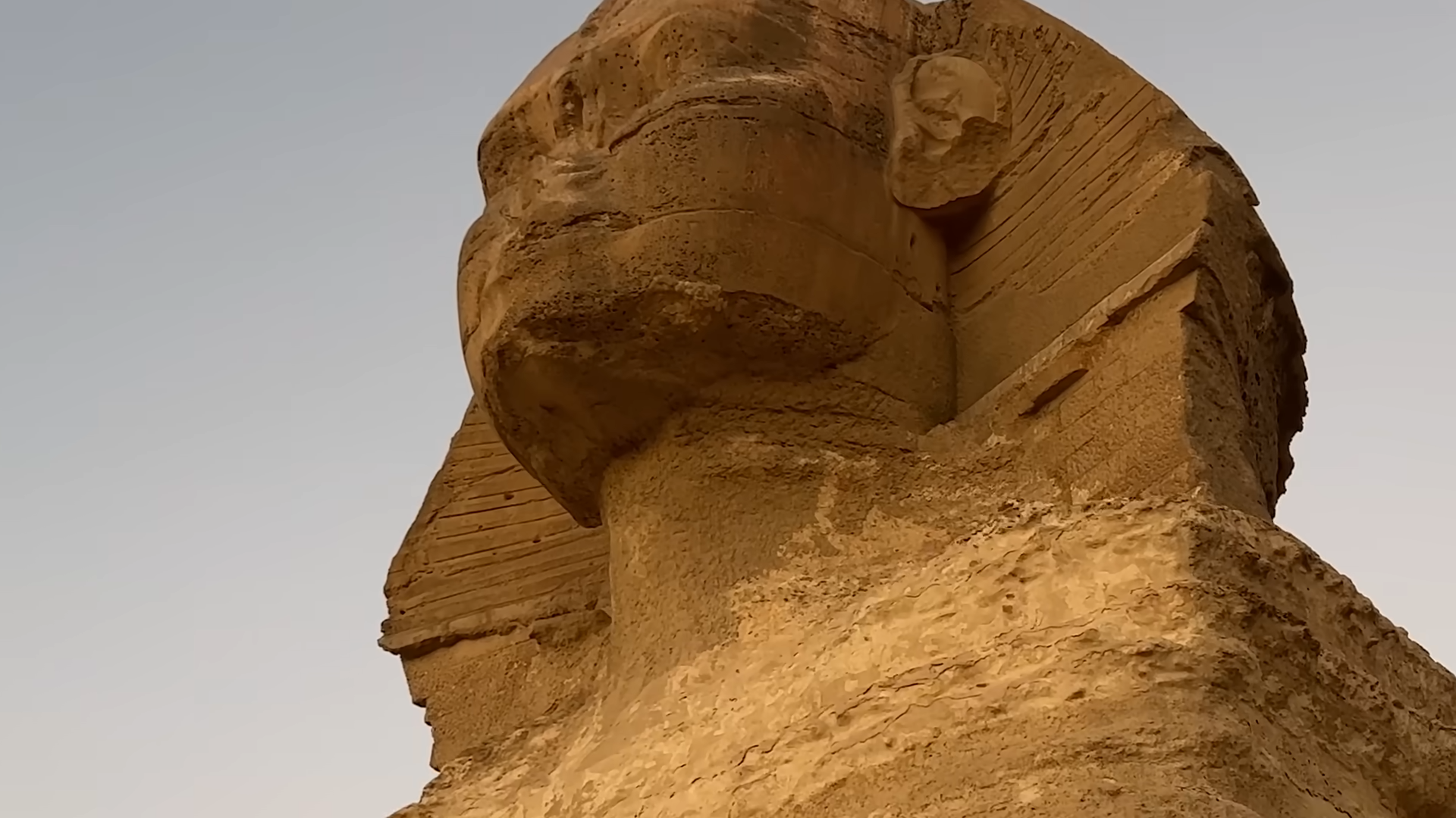What you notice when you really investigate the Great Sphinx