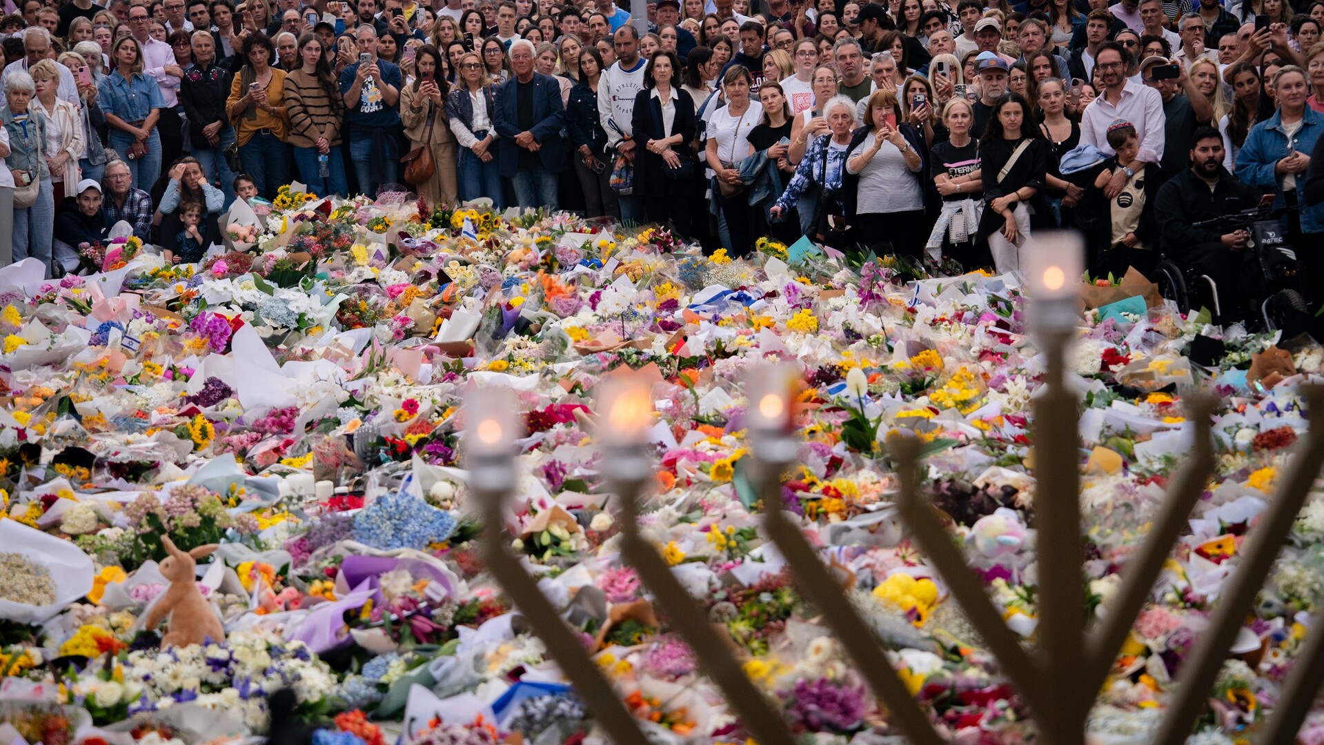 ‘Memorialise the victims’: Bondi Beach bridge to symbolise an end to ...