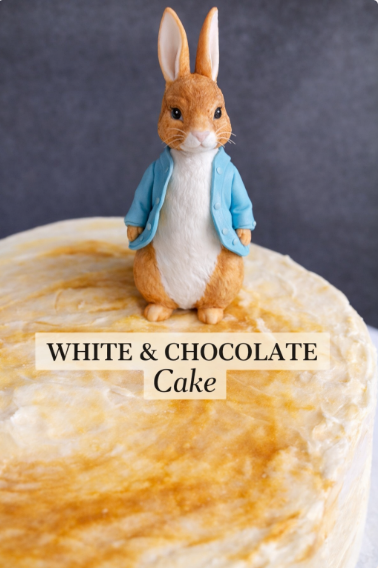 Peter Rabbit chocolate theme cake made from scratch