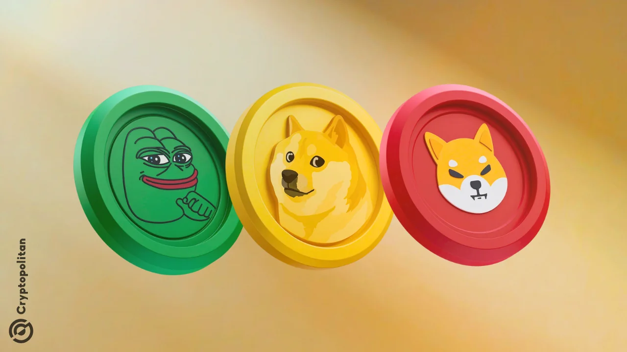 Memecoin frenzy builds amid renewed risk appetite