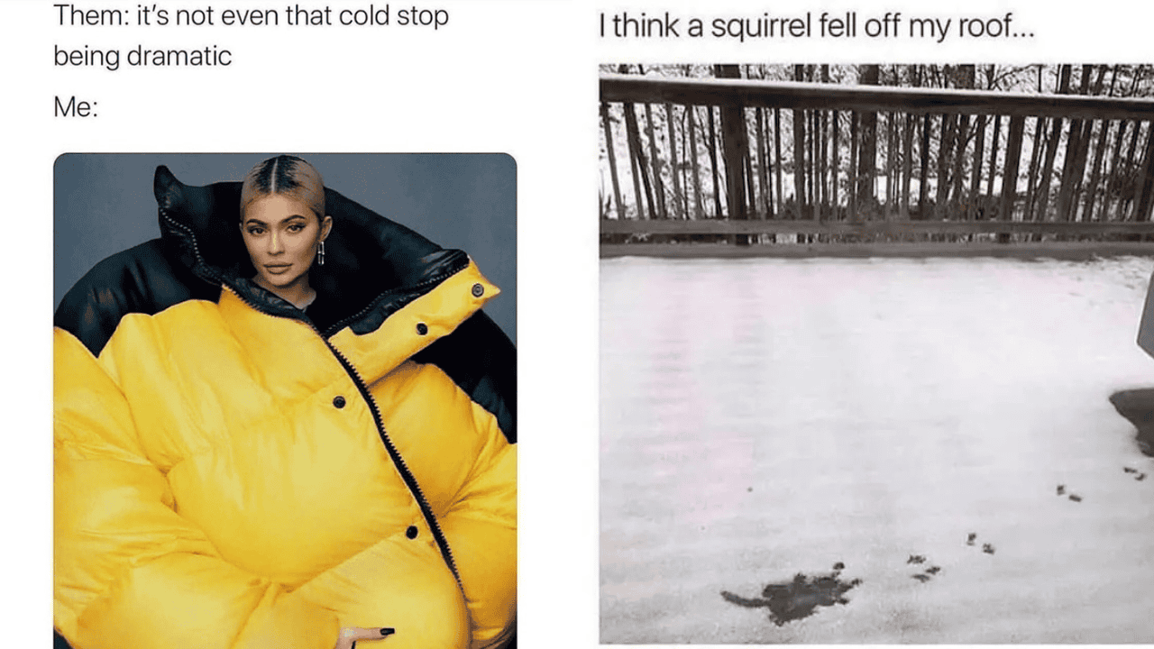 20 memes for anyone who is already done with winter