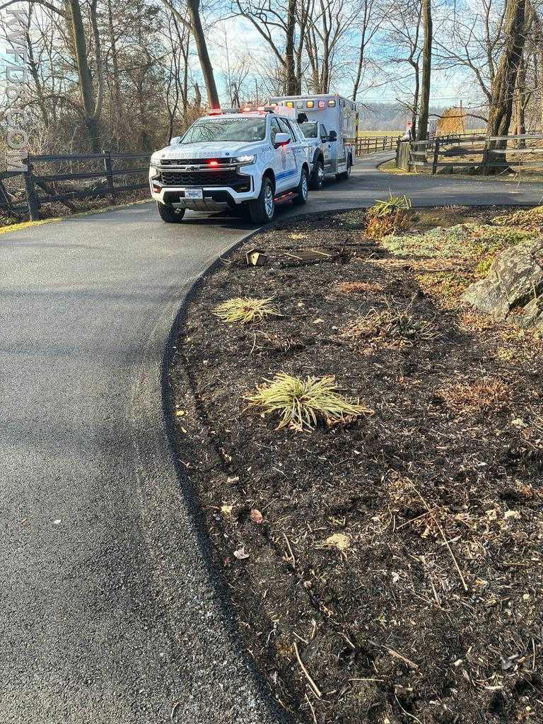 Woman taken to trauma center after being run over by her own vehicle ...