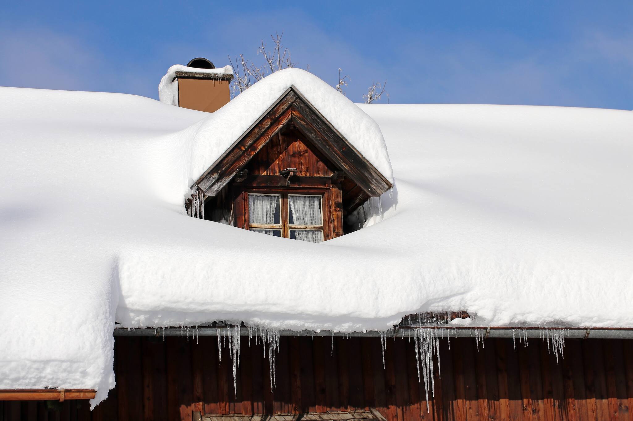 Schne Wie Schwer Ist Ein Eisbr Bilder