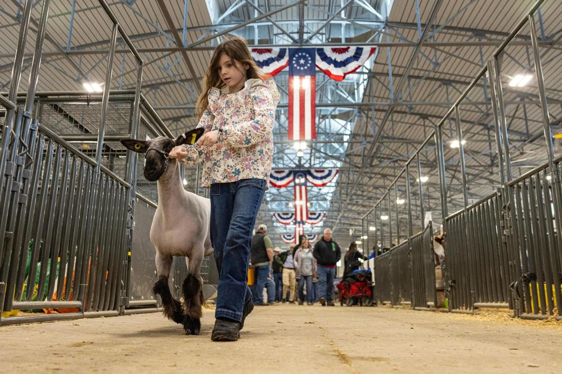 2026 Fort Worth Stock Show & Rodeo: Tickets, parking, schedules and celebs?