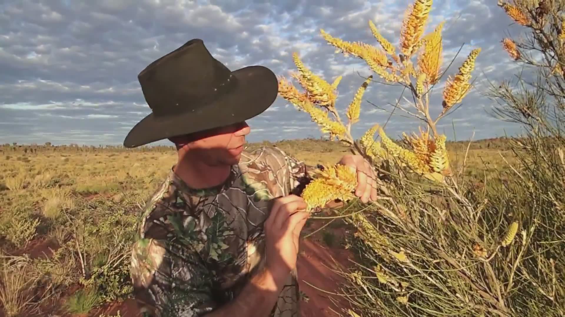Foraging and cooking Australian bush tucker