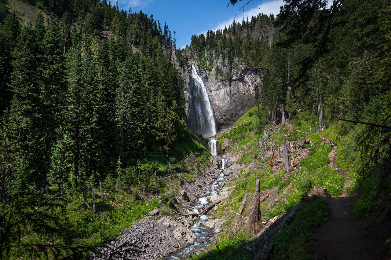 A scenic waterfall surrounded by trees in a forest setting