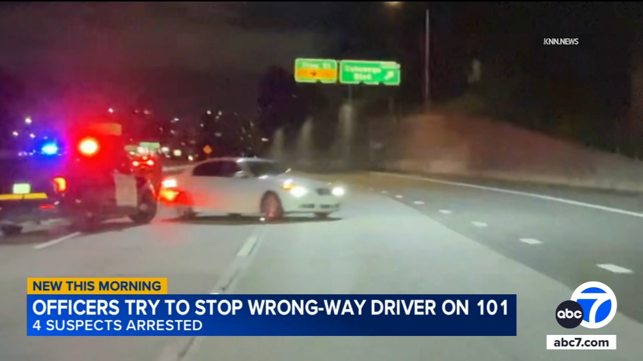 Officers try to stop wrong-way driver on 101 Freeway in LA, video shows