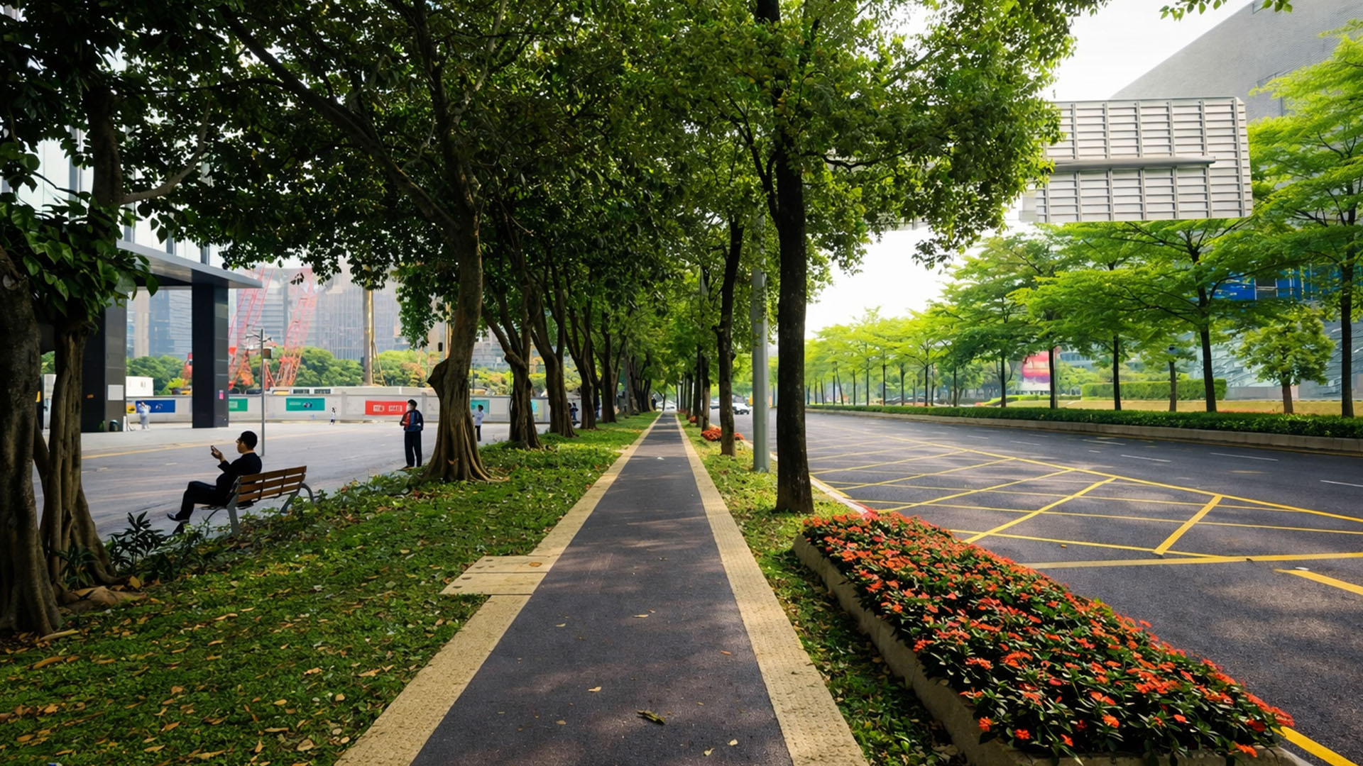 Exploring a tree-lined street in Shenzhen, China