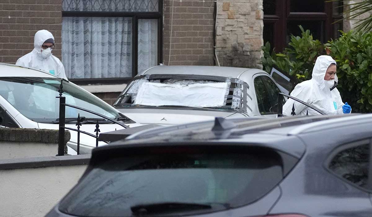Father and young son found dead at separate Dublin locations