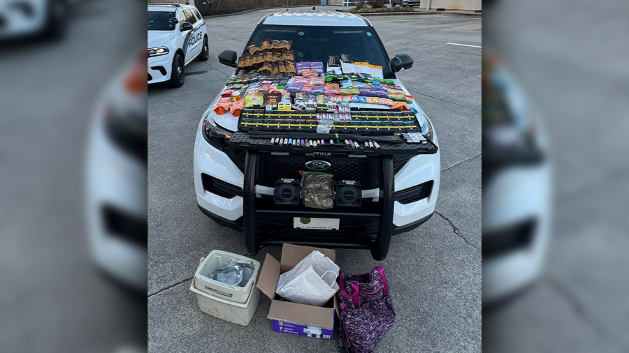 Lenoir City traffic stop leads to seizure of nearly 15 pounds of THC ...