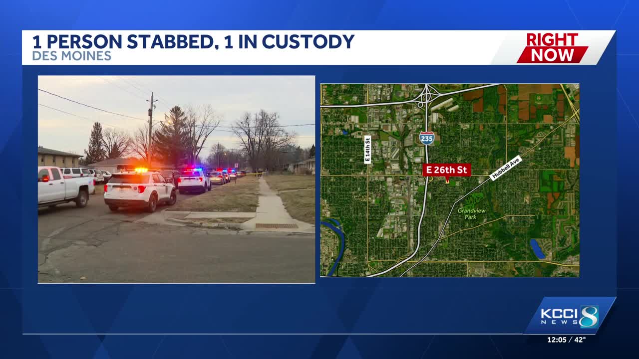 One person in custody after stabbing in Des Moines