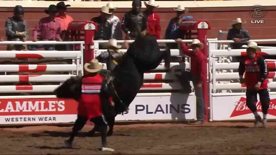 Man vs bull: Who breaks first