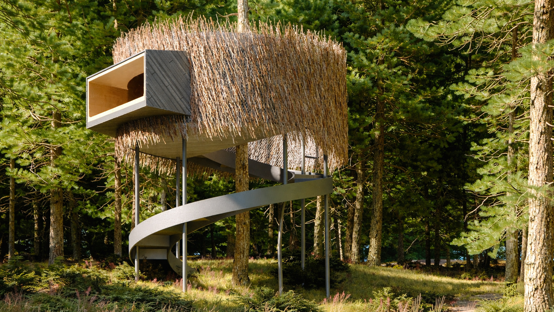 Building a futuristic treehouse