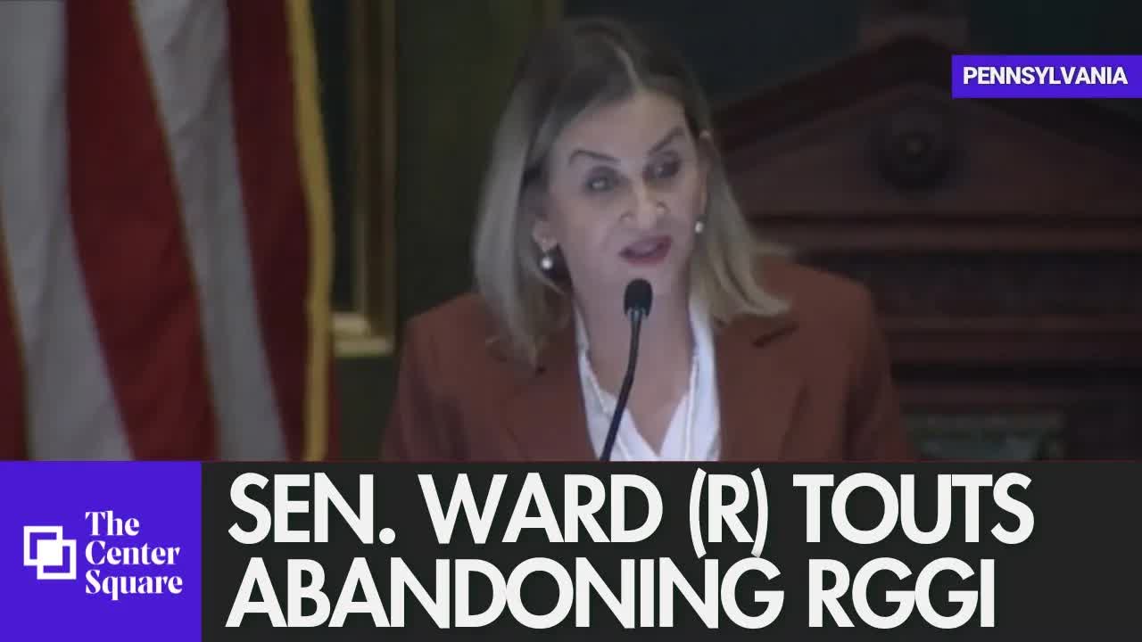 Sen. Ward (R) touts 'above all energy' after re-election as ...