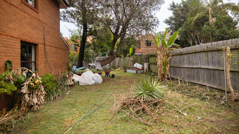 My neighbor's unsightly yard is ruining the neighborhood. Is there ...