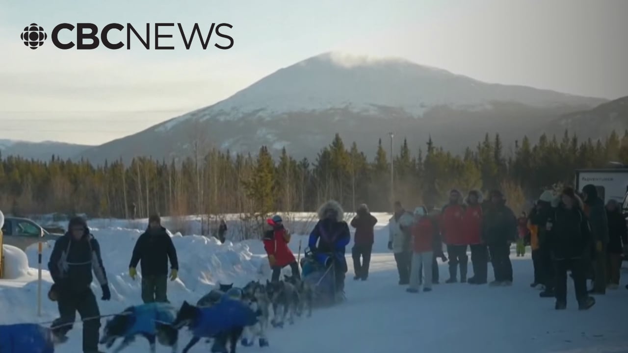Mushers, former board members say 2026 Yukon Quest quietly cancelled