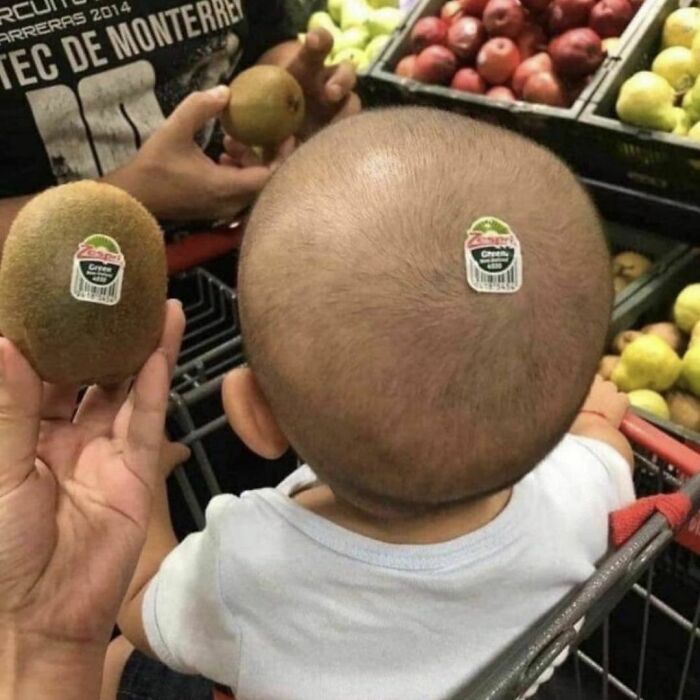 “Absurd Reality”: 33 Funny Photos That Are Better Without Context