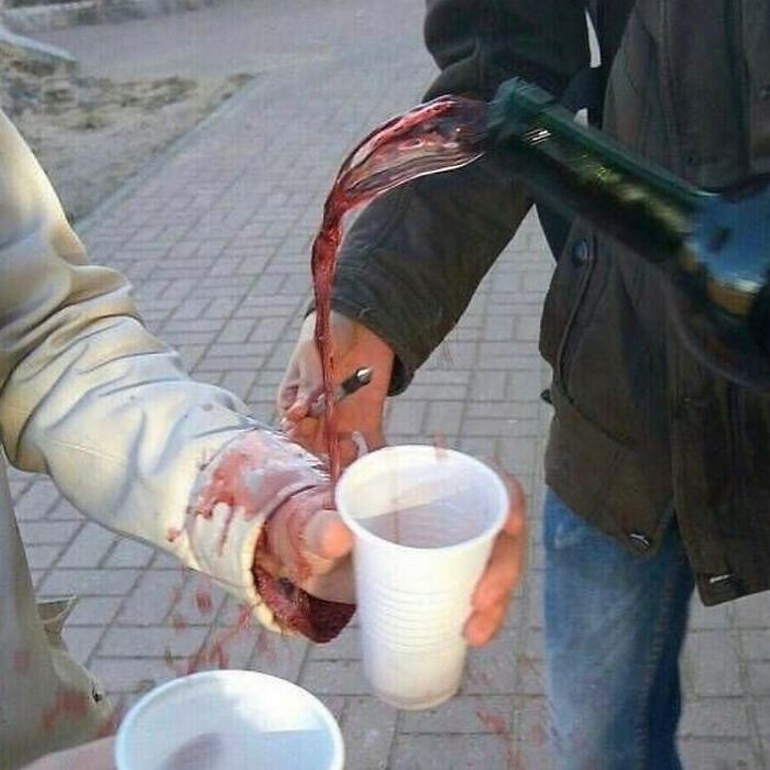 “Absurd Reality”: 33 Funny Photos That Are Better Without Context