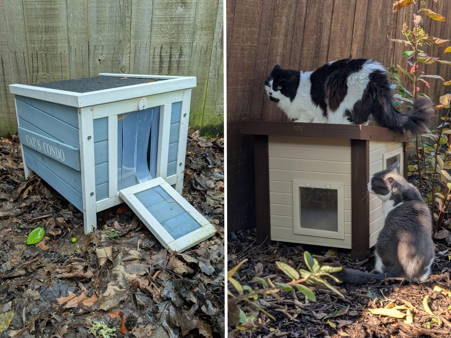 Best outdoor cat houses to keep them warm this winter