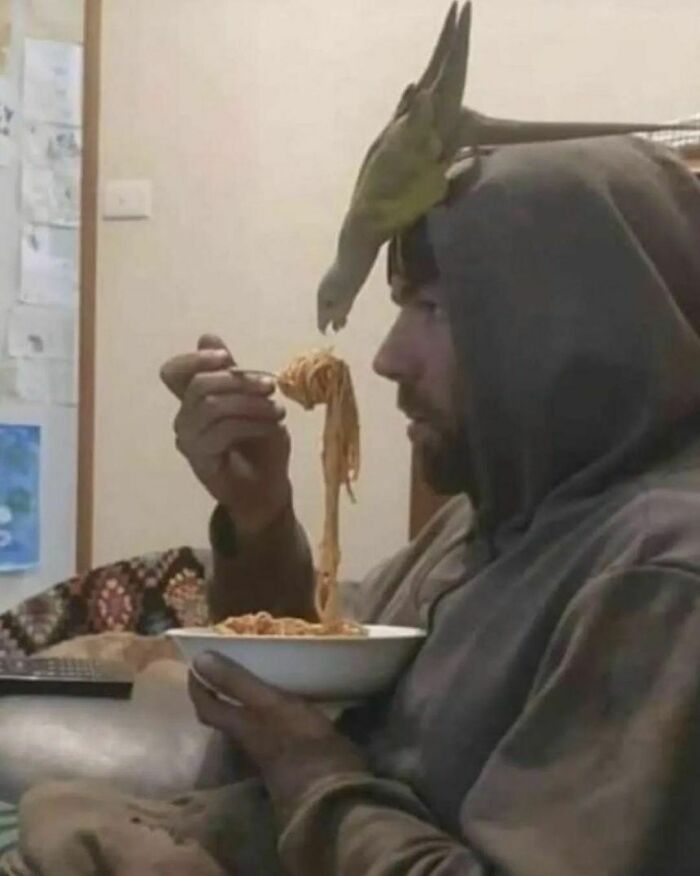“Absurd Reality”: 33 Funny Photos That Are Better Without Context