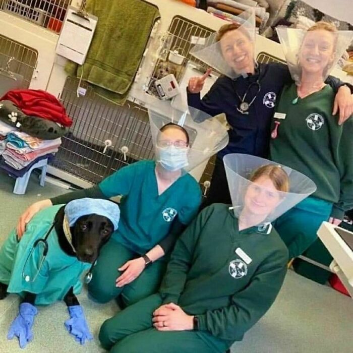 “Absurd Reality”: 33 Funny Photos That Are Better Without Context