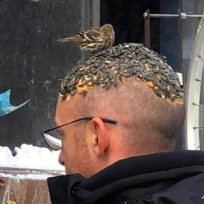“Absurd Reality”: 33 Funny Photos That Are Better Without Context