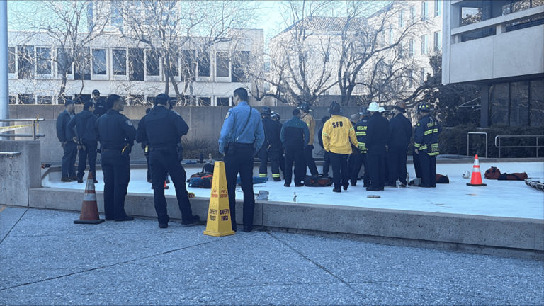 Sacramento Fire Department rescues worker from 30-foot fall