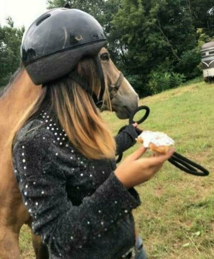 “Absurd Reality”: 33 Funny Photos That Are Better Without Context