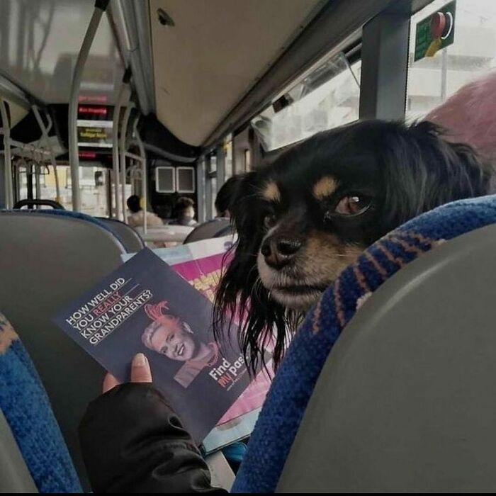 “Absurd Reality”: 33 Funny Photos That Are Better Without Context