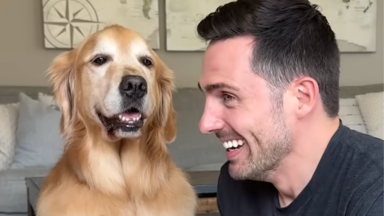 Caught on camera: A real dog smile