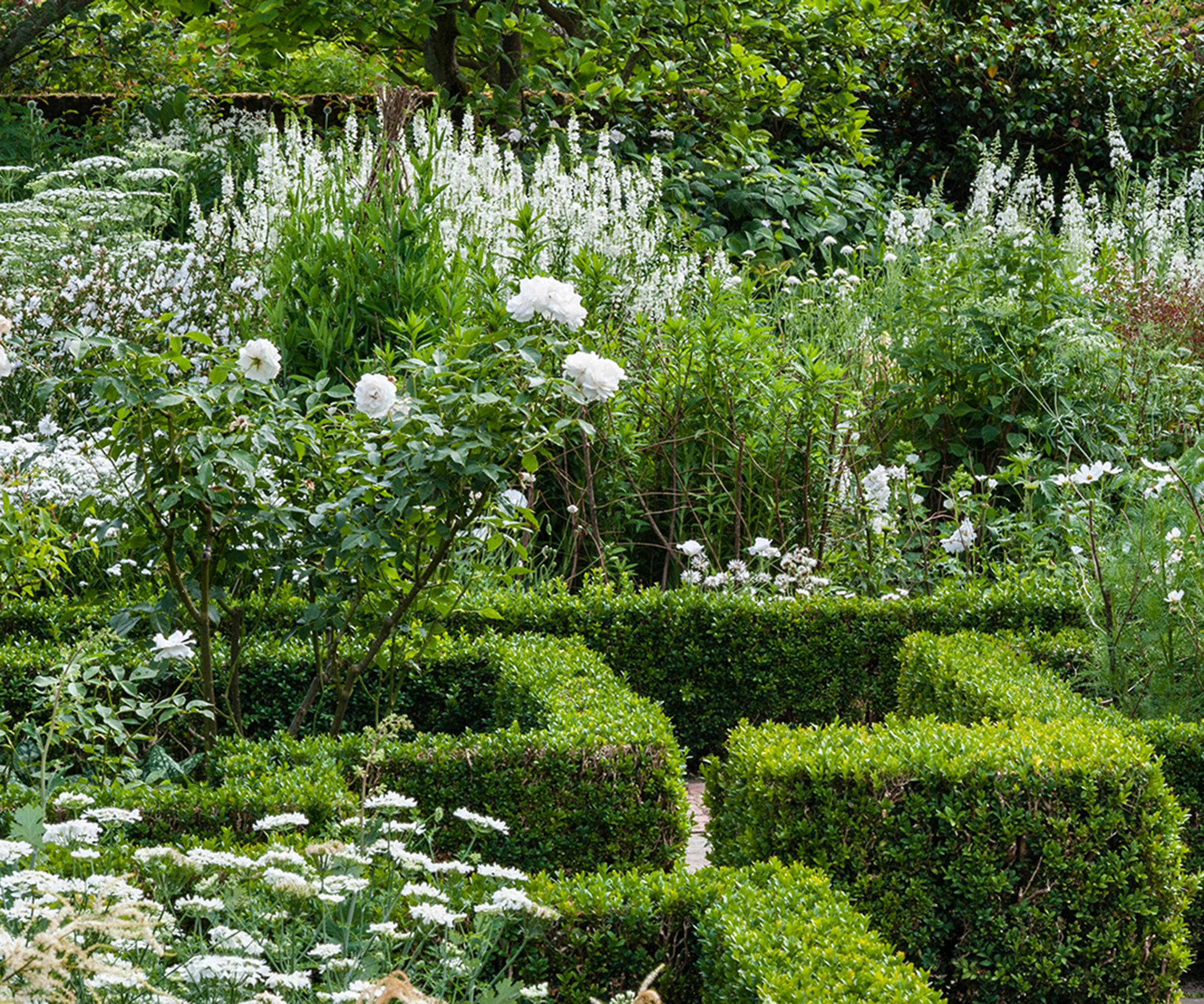 Sissinghurst Castle, Kent, UK. Parterres in the White Garden in summer