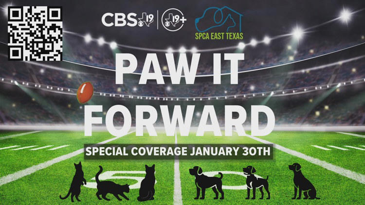 Paw it forward: SPCA of East Texas' low-cost spay and neuter clinic ...