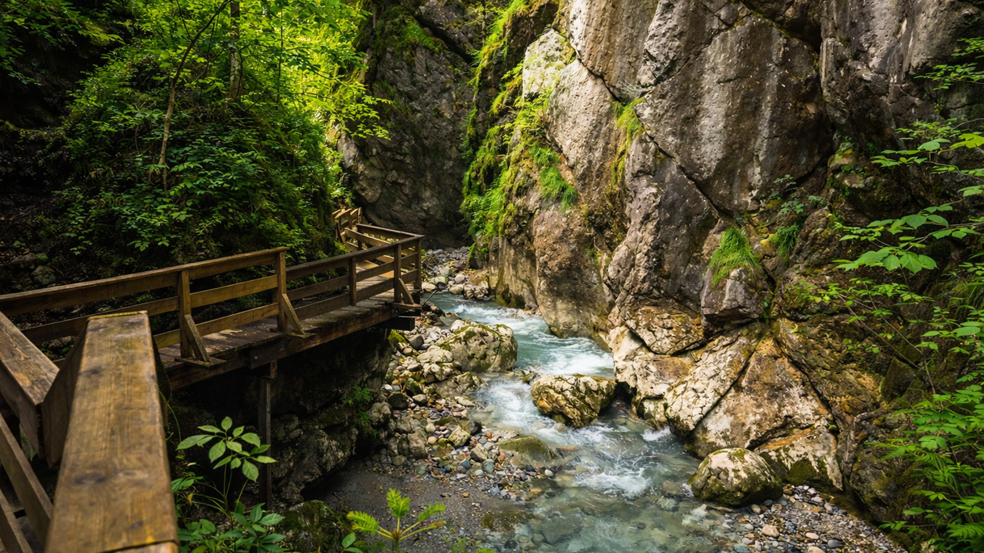 Seisenbergklamm Austria 600-meter canyon walk adventure (4K)