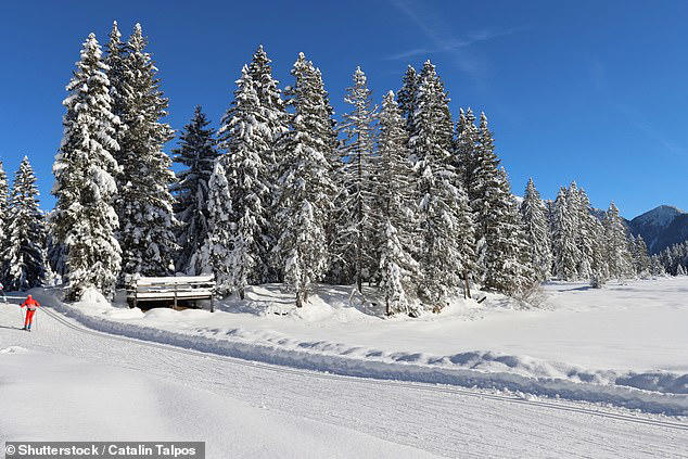 A ski track located in the mountains in the resort of Seefeld, Austria