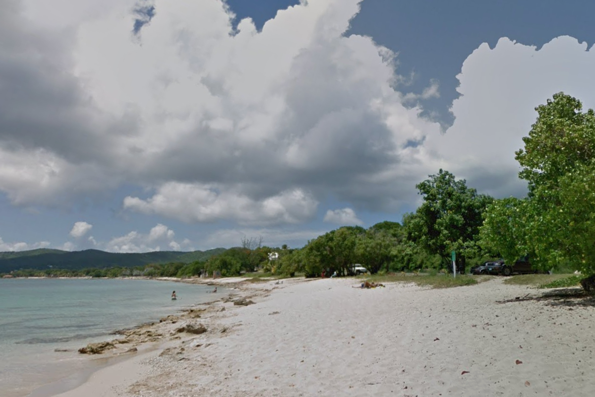Woman killed in suspected shark attack in US Virgin Islands<br><br>