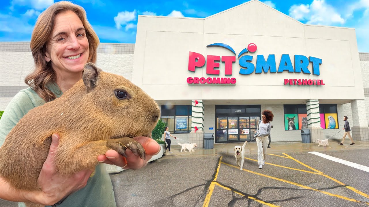 How a baby capybara reacted to lights, noise, and strangers