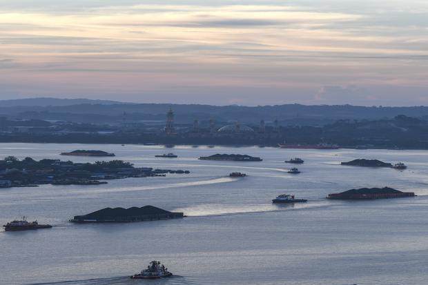 Produksi batu bara di 2026 dipangkas, ini trennya dalam 10 tahun terakhir