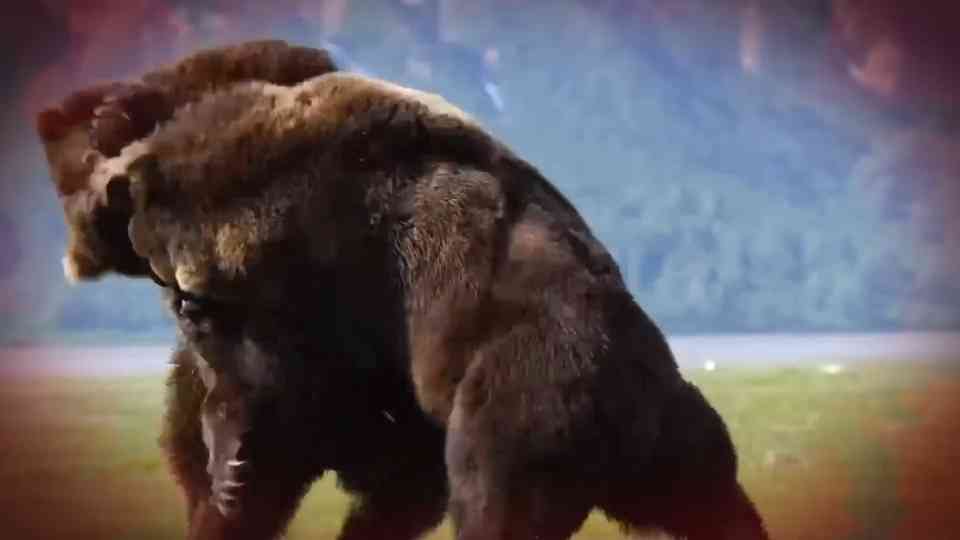 Why this fight is far less even than it sounds