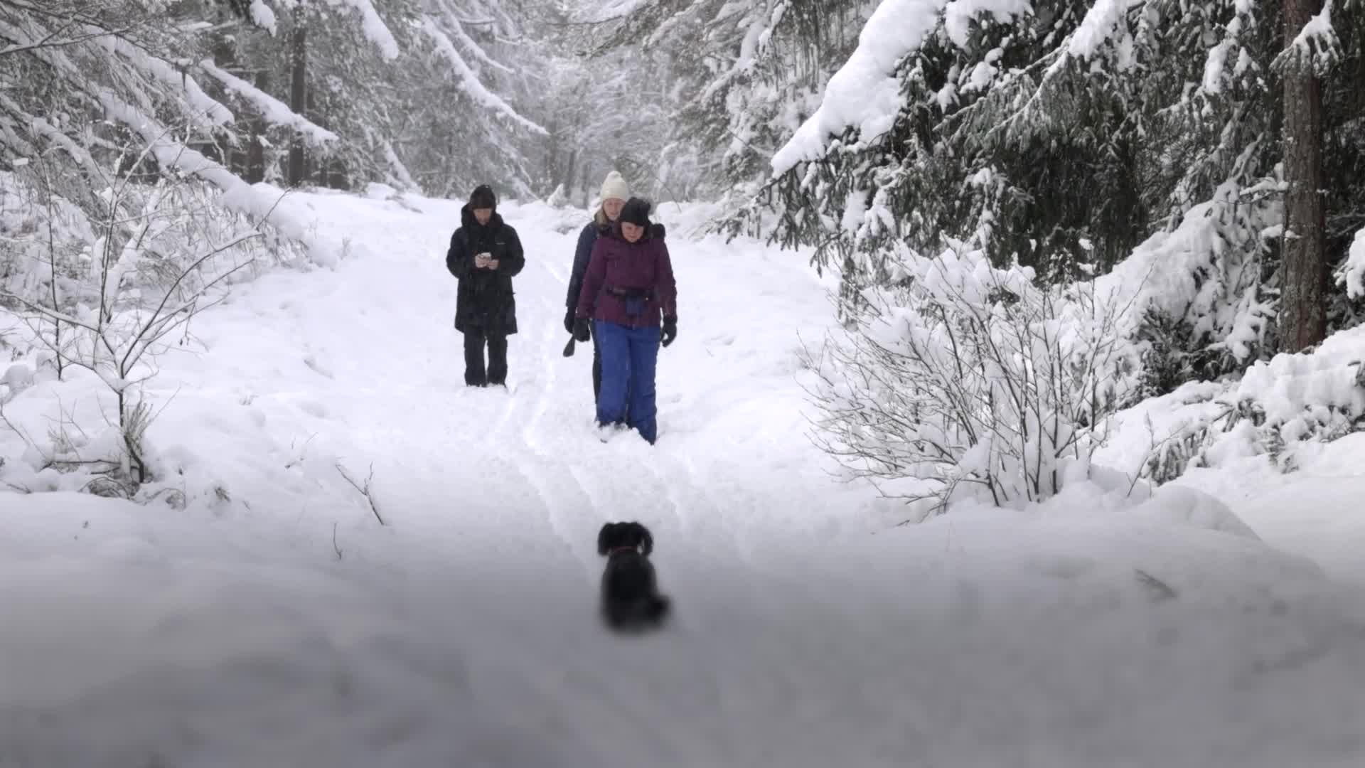 Tens of thousands without power as Storm Goretti wreaks havoc across UK