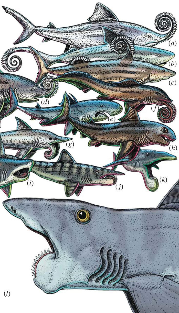 Sharklike fish with weird, buzz-saw jaws sliced through the seas, then ...