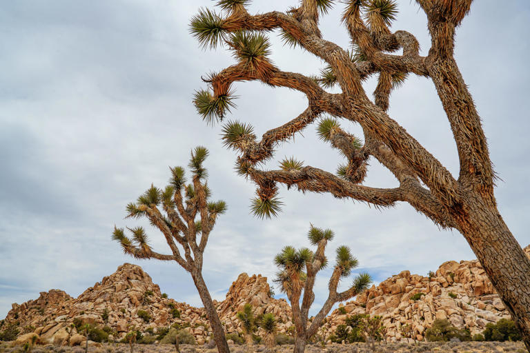 Unexplained 'rumbles' rattle homes and property in the High Desert