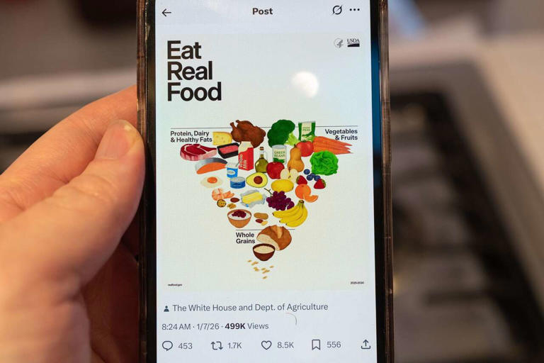 Houston health expert weighs in on diet guidelines of new food pyramid ...