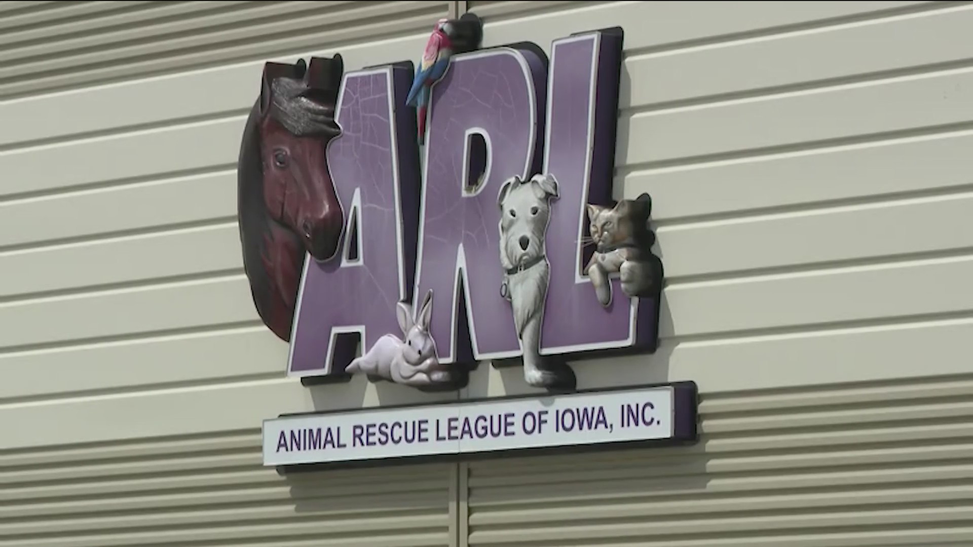 Record number of adoptions set at the Animal Rescue League of Iowa