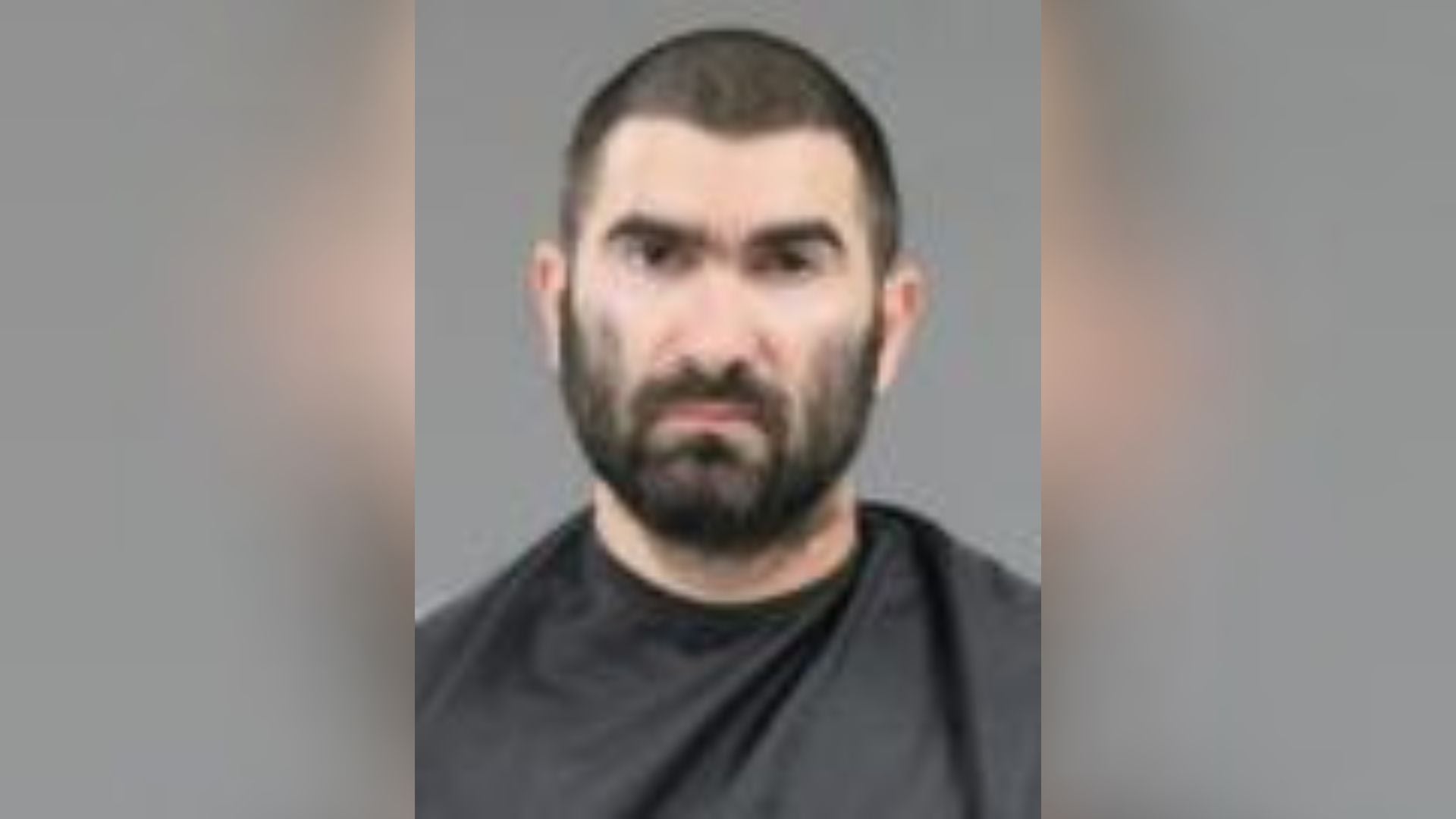 Anderson man pleads guilty to child sex crime after kids found trying ...