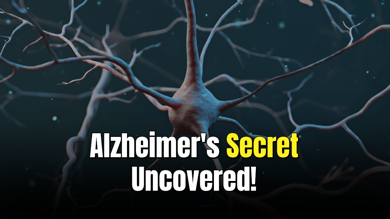 🧠 Arc Protein: Alzheimer's Spread Mystery Solved? 🔥
