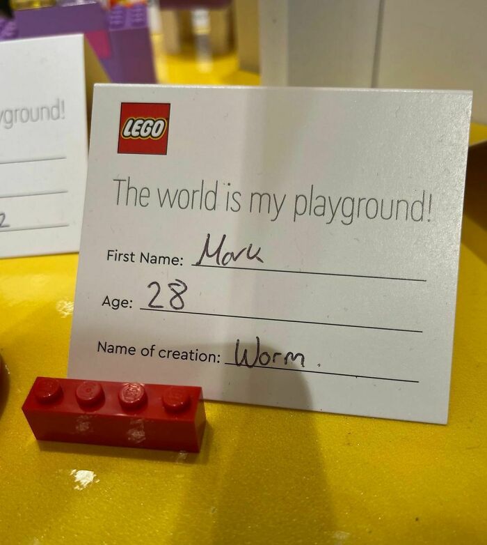 “I Would Prefer Not To”: 45 Pics That Might Confuse You Or Make You Laugh