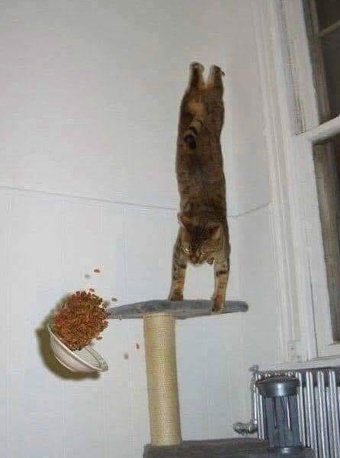 “No Context Required”: 45 Funny Images That Defy Explanation